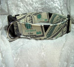 Money Money Money Dog collar